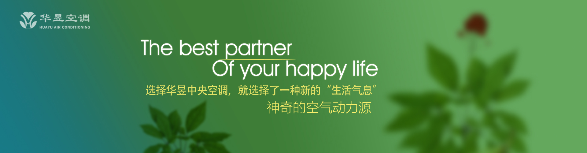 浮名薄利网
